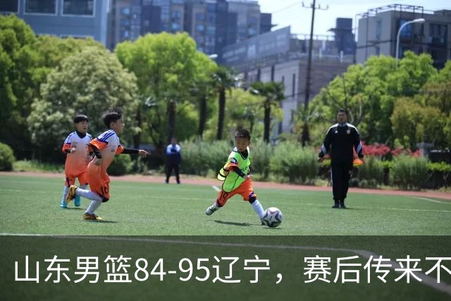 山东男篮84-95辽宁，赛后传来不可思议事实，邱彪教练一针见血